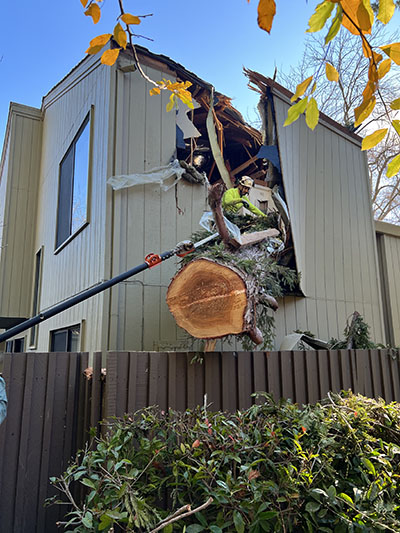 emergency service - tree fell into side of house