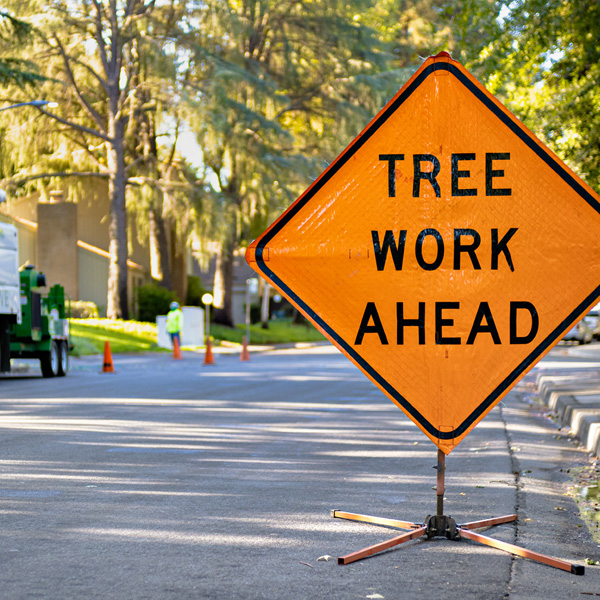 tree work ahead sign
