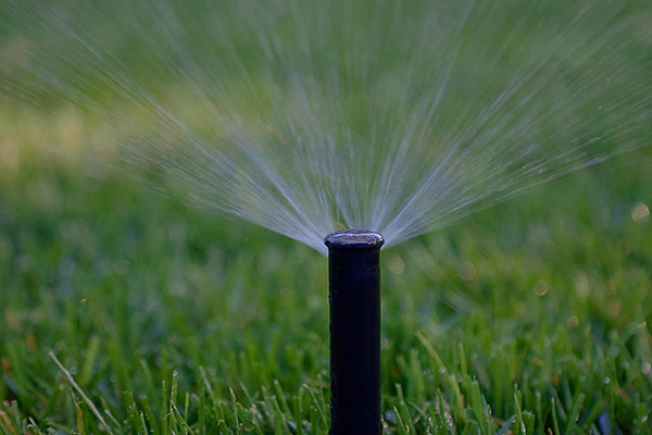 close up of sprinkler in lawn